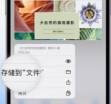 昌江apple维修中心分享iPhone文件应用中存储和找到下载文件