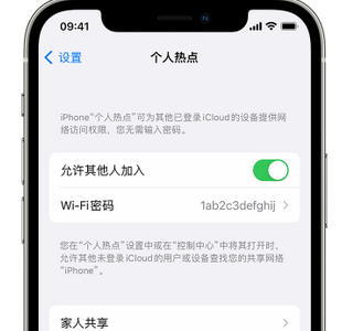 昌江apple服务站点分享iPhone上个人热点丢失了怎么办 