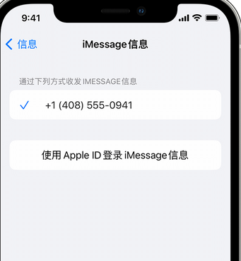 昌江apple维修iPhone上无法正常发送iMessage信息 