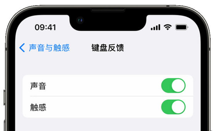 昌江苹果手机维修分享iPhone 14触感键盘使用方法 