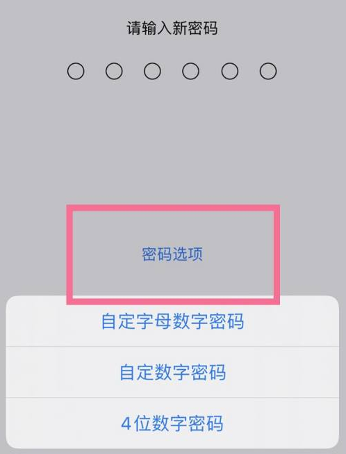 昌江苹果14维修分享iPhone 14plus设置密码的方法 