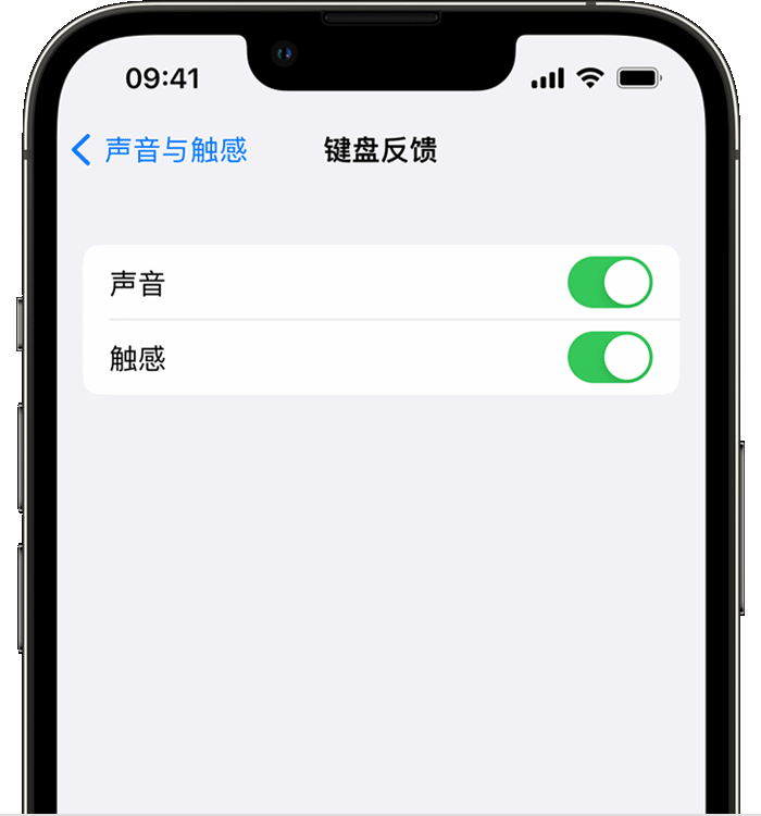 昌江苹果14维修分享iPhone 14 系列机型如何开启键盘声音或触感反馈 