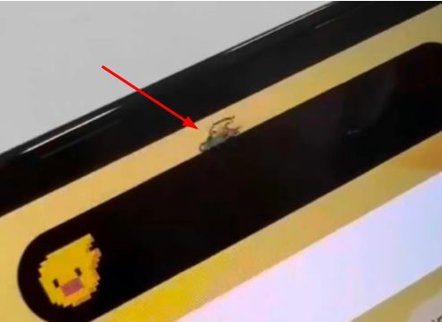 昌江苹果14维修分享iPhone 14 Pro Max灵动岛怎么养宠物 