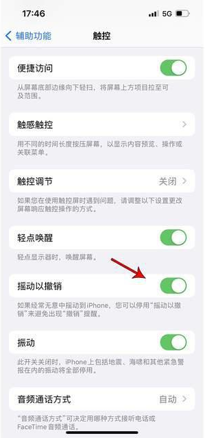 昌江苹果手机维修分享iPhone手机如何设置摇一摇删除文字 