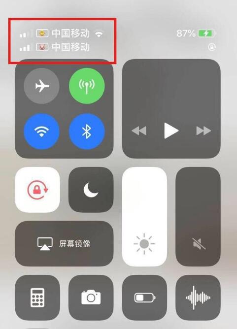 昌江苹果手机维修分享为 iPhone 12 双卡设置标签 